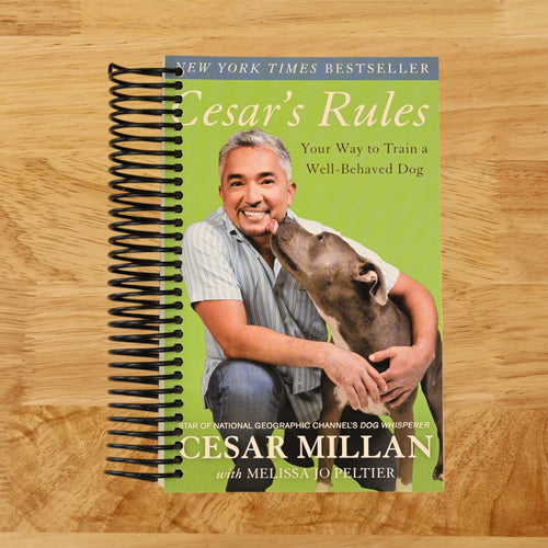 Cesar's Rules: Your Way to Train a Well-Behaved Dog   (Spiral bound)