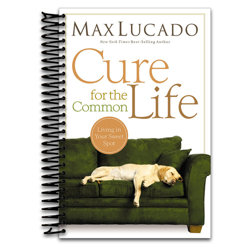 Cure for the Common Life: Living in Your Sweet Spot   (Spiral bound)