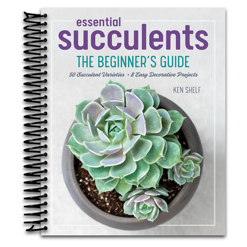 Essential Succulents: The Beginner's Guide