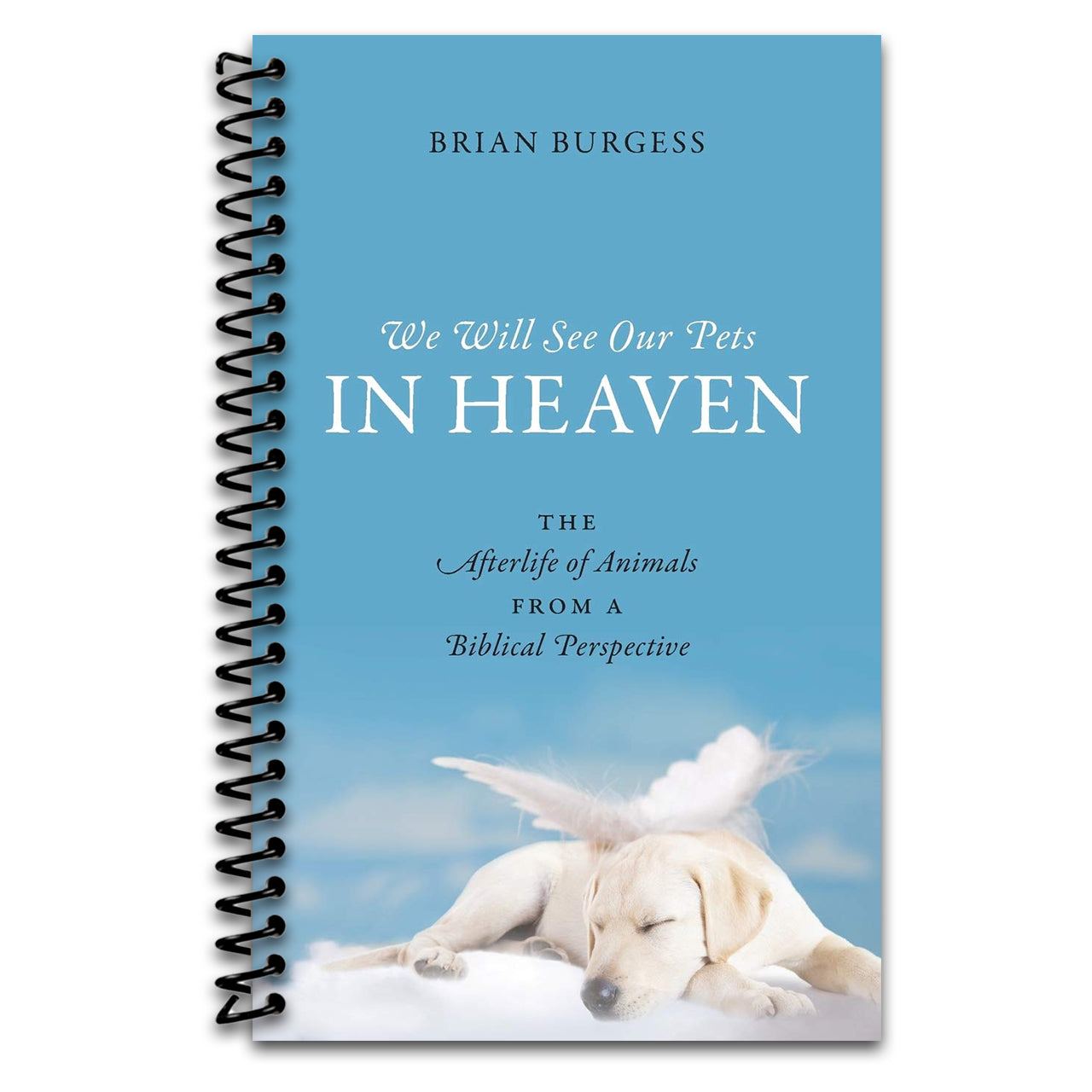 We Will See Our Pets in Heaven: The Afterlife of Animals from a Biblical Perspective   (Spiral bound)