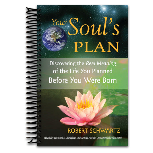 Your Soul's Plan: Discovering the Real Meaning of the Life You Planned Before You Were Born