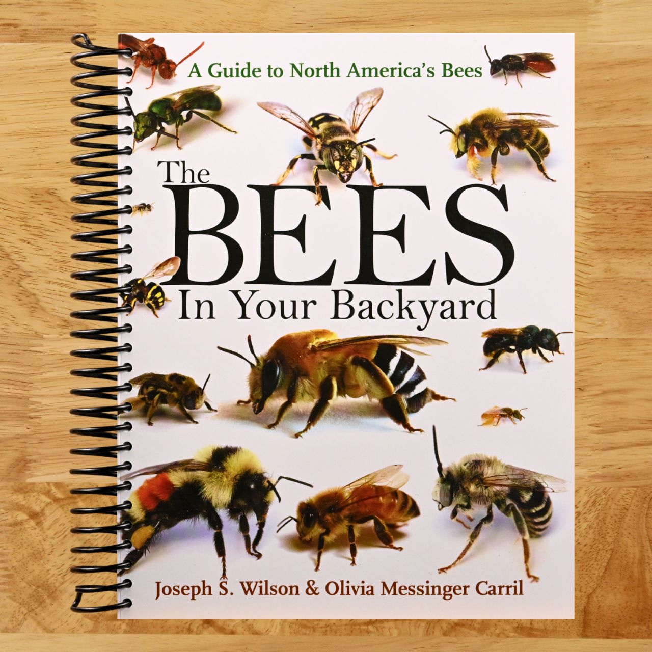 The Bees in Your Backyard: A Guide to North America's Bees (Spiral bound) Happy Coil spiral bound book