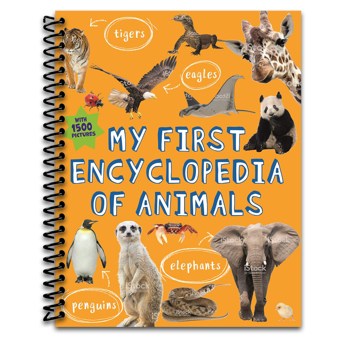 My First Encyclopedia of Animals (Kingfisher First Reference) (Spiral bound) Happy Coil spiral bound book