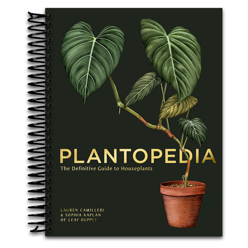 Plantopedia: The Definitive Guide to Houseplants   (Spiral bound)