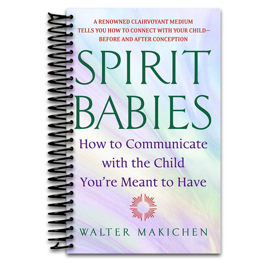 Spirit Babies: How to Communicate with the Child You're Meant to Have   (Spiral bound)