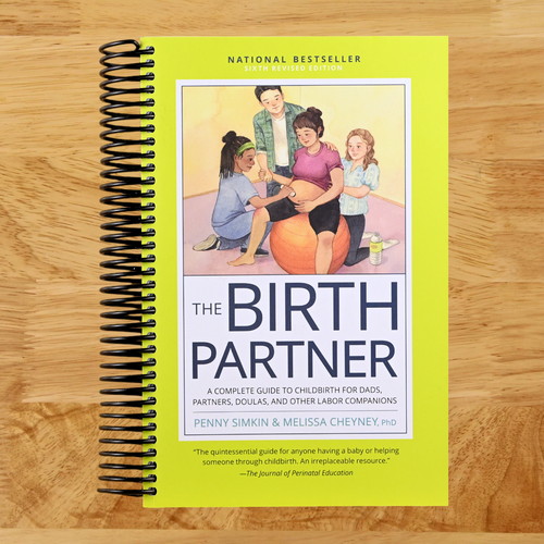 The Birth Partner, Sixth Revised Edition: A Complete Guide to Childbirth for Dads, Partners, Doulas, and Other Labor Companions   (Spiral bound)