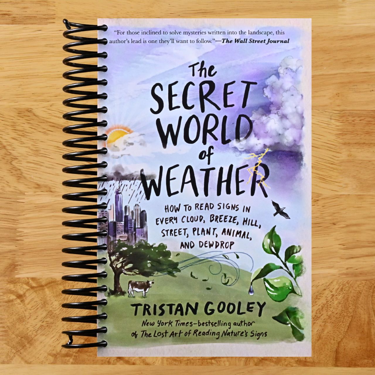 The Secret World of Weather: How to Read Signs in Every Cloud, Breeze, Hill, Street, Plant, Animal, and Dewdrop (Natural Navigation) (Spiral bound) Happy Coil spiral bound book