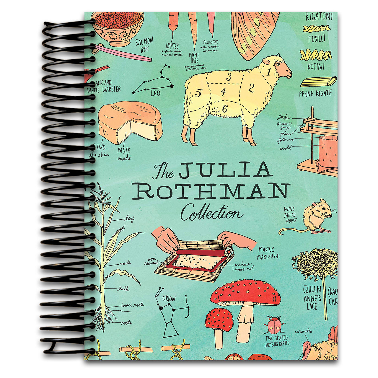 The Julia Rothman Collection: Farm Anatomy, Nature Anatomy, and Food Anatomy   (Spiral bound)