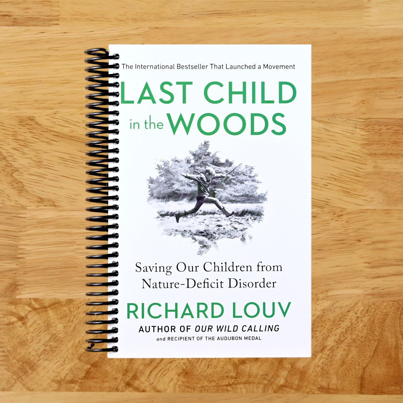 Last Child in the Woods: Saving Our Children From Nature-Deficit Disorder