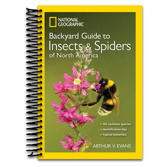 National Geographic Backyard Guide to Insects and Spiders of North America   (Spiral bound)